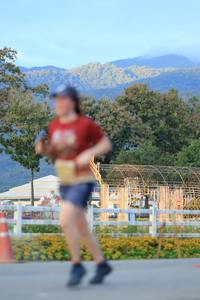 BIB: 
                            <button type="button" onclick="openModal(27886548)" class="btn btn-primary btn-sm float-right btn-popup" data-toggle="modal" data-target=".modal-high-quality">
                        <i class="fas fa-shopping-cart"></i> Add to Cart
                    </button>
                                            <button type="button" onclick="isThisMe(27886548, true)" class="btn btn-success btn-sm float-right btn-popup btn-isme hidden" data-toggle="tooltip" data-placement="bottom" title="นี่คือรูปของคุณใช่ไหม คลิกที่นี่เพื่อเอาเข้าอัลบั้ม">
                        <i class="fas fa-plus"></i> Add to album
                    </button>
                    <button type="button" onclick="isThisMe(27886548, false)" class="btn btn-warning btn-sm float-right btn-popup btn-isnotme hidden">
                        <i class="fas fa-ban"></i> Remove from album
                    </button>